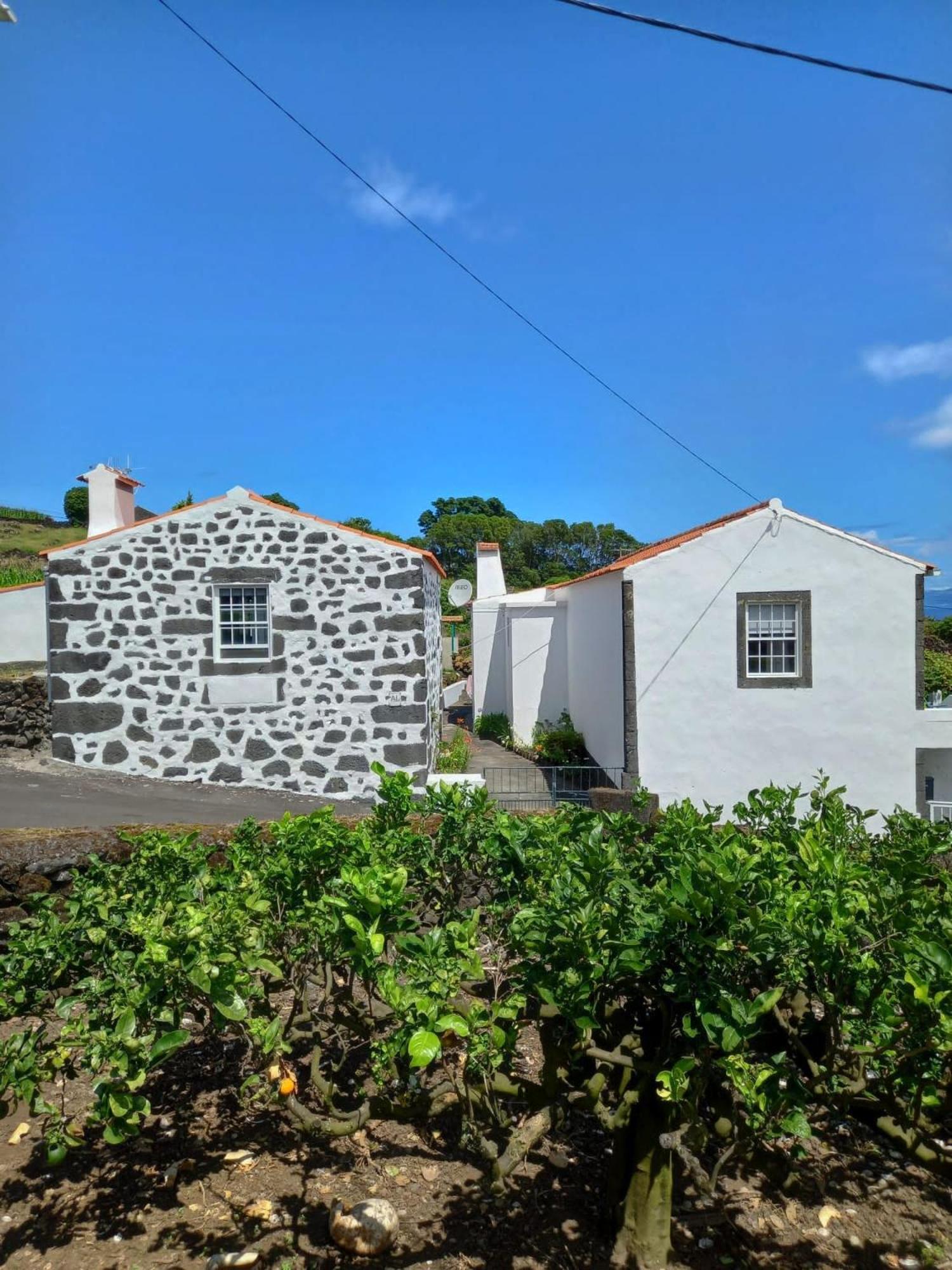 Willa Casa Da Lavadia Canto da Areia Zewnętrze zdjęcie